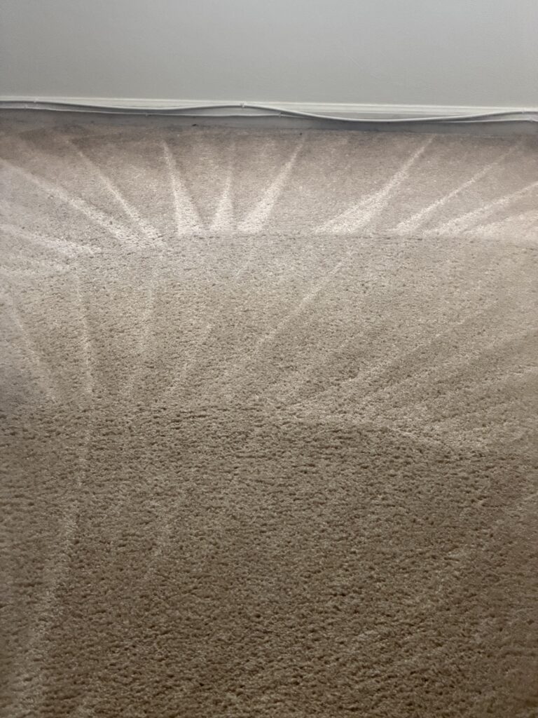 Freshly cleaned carpet showing carpet cleaning lines